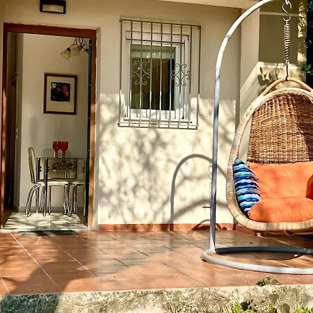 The Almond Tree