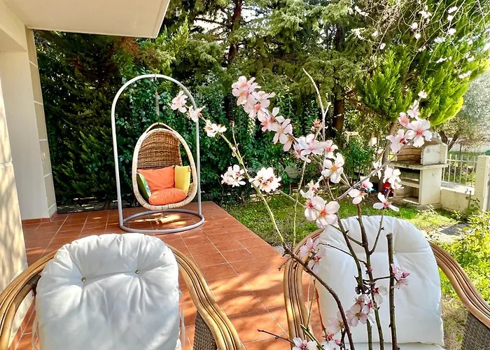 The Almond Tree نيكيتي