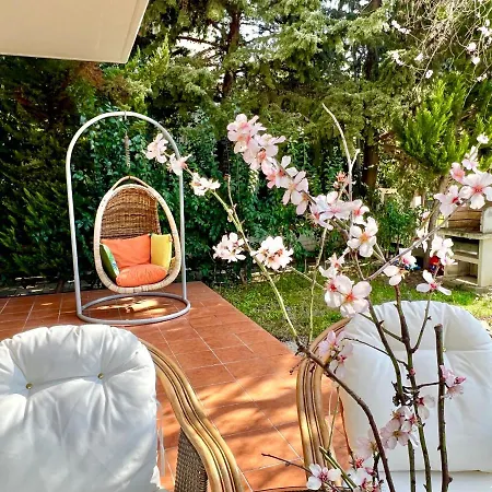 The Almond Tree Nikiti (Sithonia)