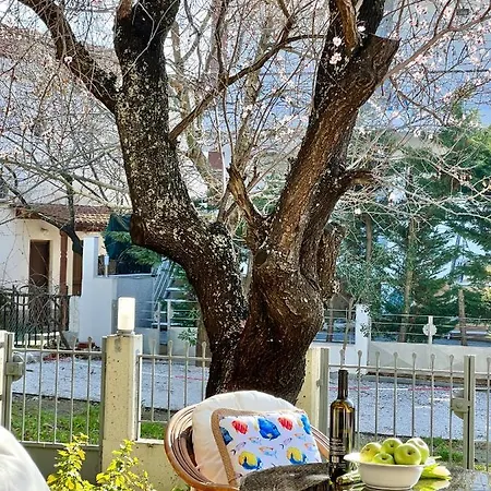 The Almond Tree Nikiti (Sithonia)