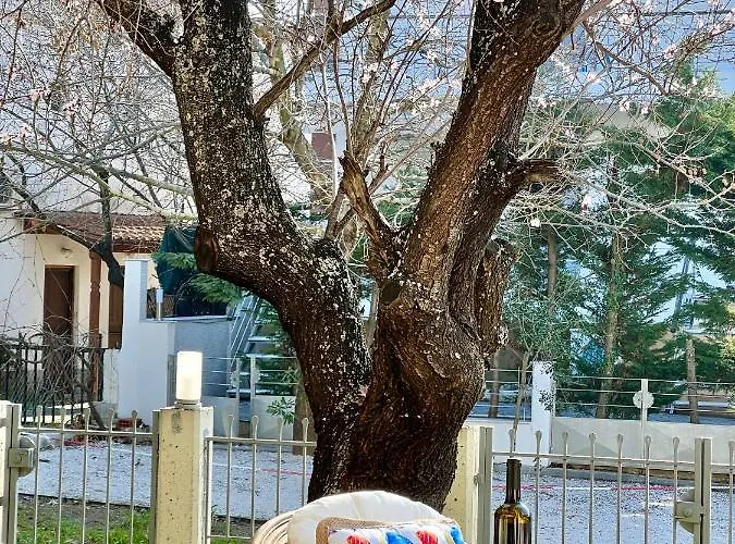The Almond Tree Nikiti (Sithonia)