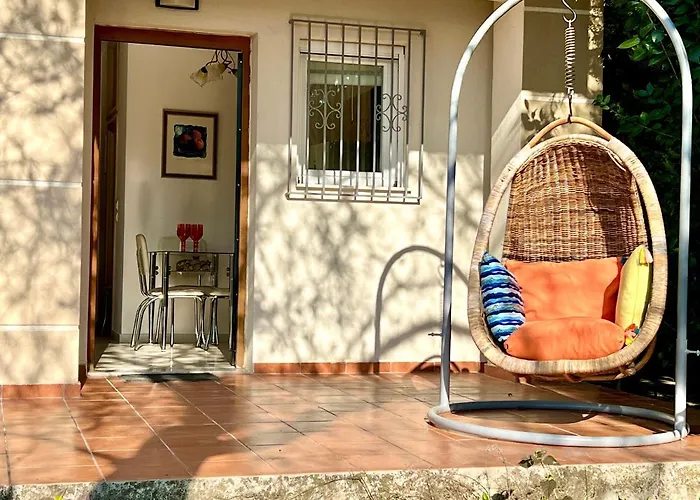The Almond Tree